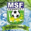 MEGA SPORT Football